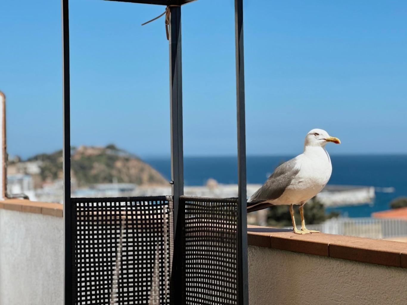 Appartement Atico Con Vistas Al Mar A Un Paso Del Centro Blanes
